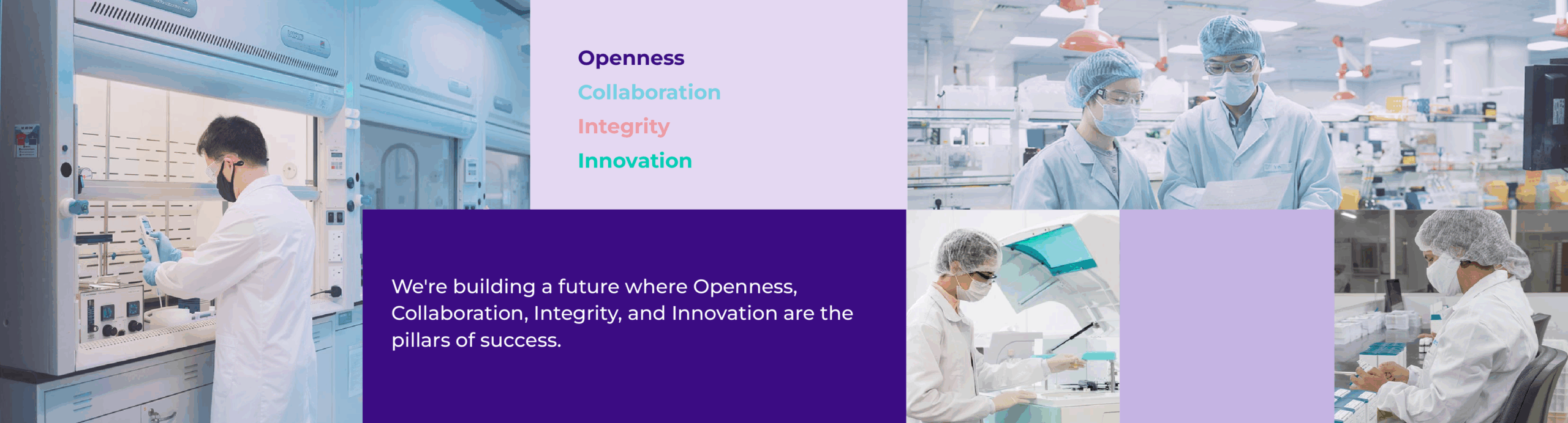 VIRTUEDX employees banner with corporate culture philosophy